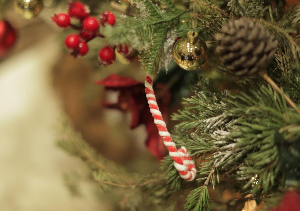 Gefinor Rotana - Beirut Hotel Exterior photo A candy cane on a Christmas tree